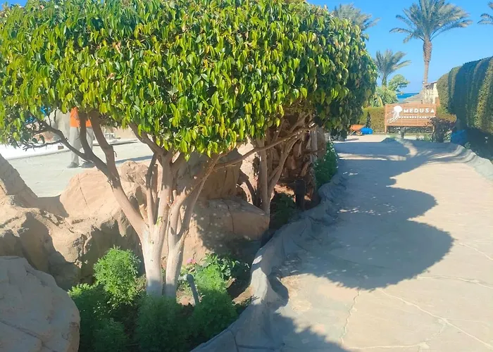 Palma *